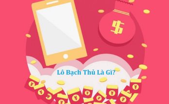 lo bach thu la gi