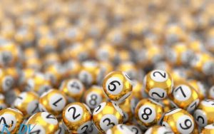 hướng dẫn cách nuôi lô khung 2 ngày